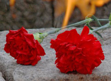 В Симферополе состоялась торжественная церемония возложения венков и цветов к Вечному огню, приуроченная ко Дню Неизвестного солдата В Симферополе состоялась торжественная церемония возложения венков и цветов к Вечному огню, приуроченная ко Дню Неизвестного солдата