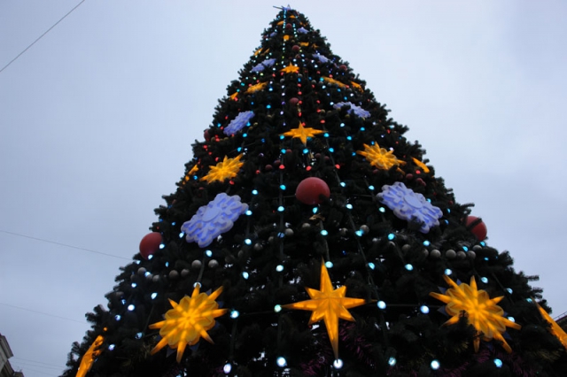 Главную елку в Севастополе откроют 27 декабря Главную елку в Севастополе откроют 27 декабря