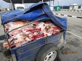 Россельхознадзор на границе Украины с Крымом задержал контрабандную баранину Россельхознадзор на границе Украины с Крымом задержал контрабандную баранину