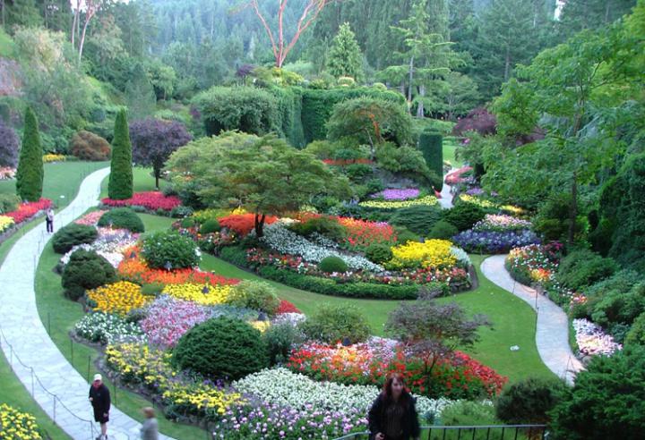 Преимущества декоративных растений для сада Преимущества декоративных растений для сада