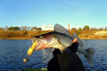 Госкомитет по рыболовству объявил о приеме заявлений на выделение рыбопромыслового участка Госкомитет по рыболовству объявил о приеме заявлений на выделение рыбопромыслового участка