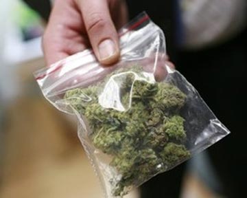 У жителя Джанкоя изъята крупная партия конопли У жителя Джанкоя изъята крупная партия конопли