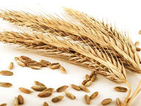 Минэкономразвития Крыма до 10 февраля разработает меры по поддержке малых сельхозпроизводителей Крыма