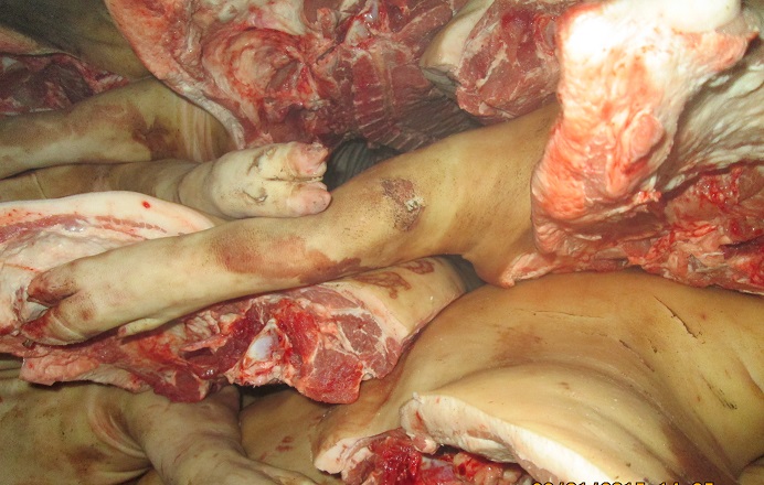 В Крым  не пустили 20 тонн свинины из Херсона