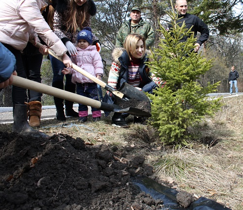 Поклонская посадила ели в крымском заповеднике Поклонская посадила ели в крымском заповеднике
