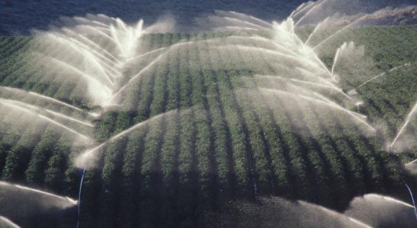 В Джанкойском районе планируют полить более 25 тысяч гектар орошаемых земель В Джанкойском районе планируют полить более 25 тысяч гектар орошаемых земель