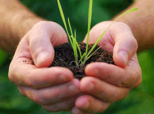 В Крыму открылся обновленный филиал "Всероссийского центра карантина растений" В Крыму открылся обновленный филиал "Всероссийского центра карантина растений"