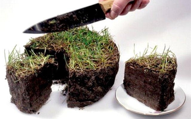 В Крыму возбуждено уголовное дело по факту незаконного выделения 15 га земли возле Симферополя В Крыму возбуждено уголовное дело по факту незаконного выделения 15 га земли возле Симферополя