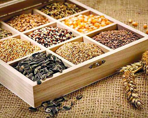 Семена - урожайность, всхожесть и особенности выбора Семена - урожайность, всхожесть и особенности выбора