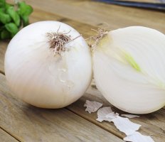 Семена лука теперь можно покупать онлайн 