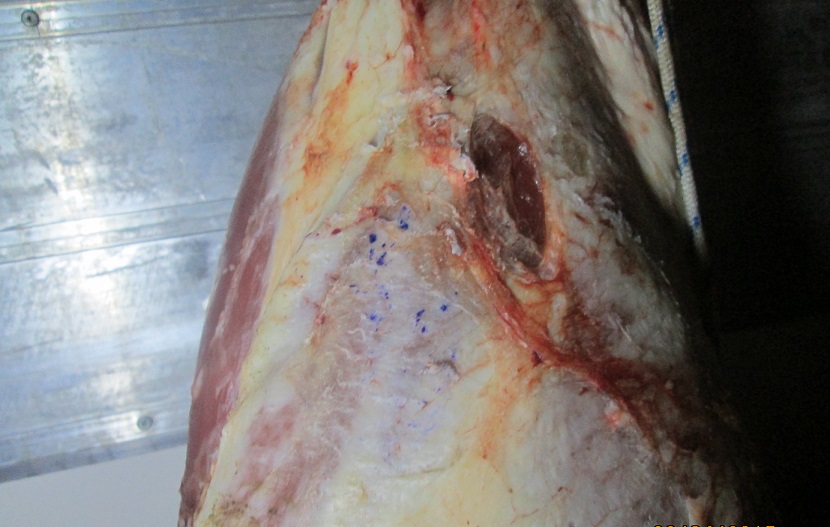 В Крым с Украины не пропустили 11 тонн опасной говядины