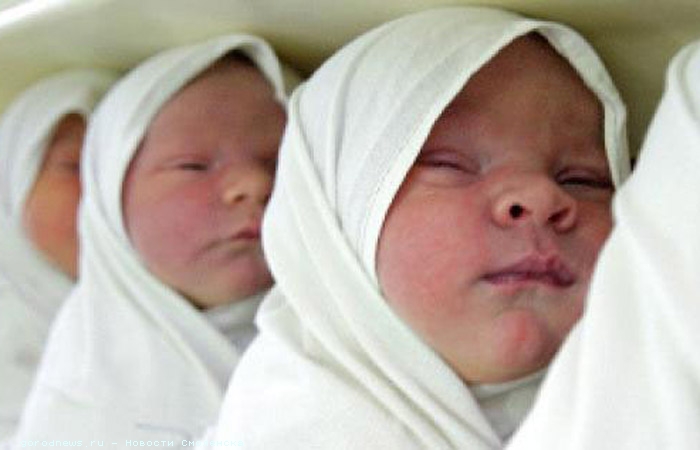 В Северных регионах Крыма самая низкая рождаемость - минюст Крыма В Северных регионах Крыма самая низкая рождаемость - минюст Крыма