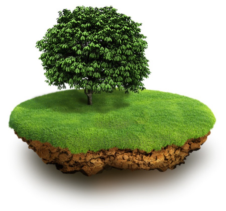 Минимущества РК устанавливает местонахождение собственников земельных участков в Укромном