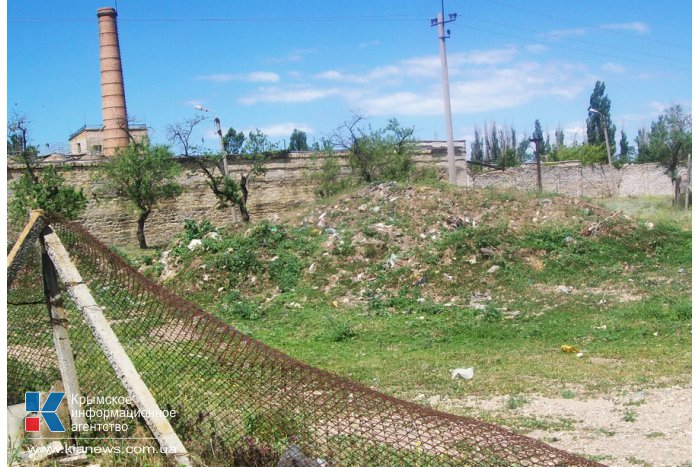 В Кольчугино стихийная свалка кишит змеями и крысами