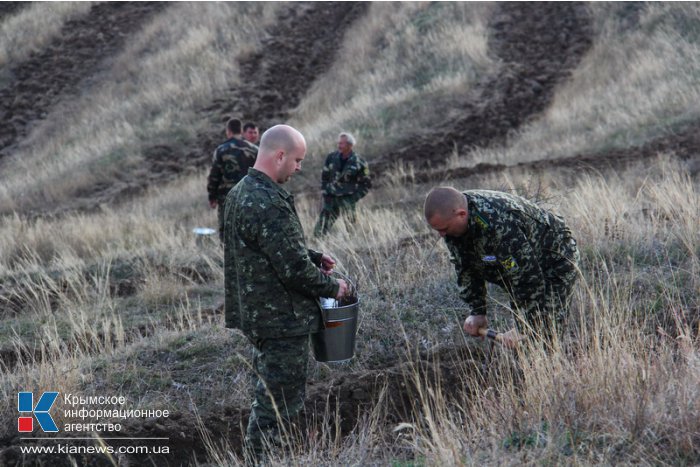 Крымский премьер посадил клены в Симферопольском районе