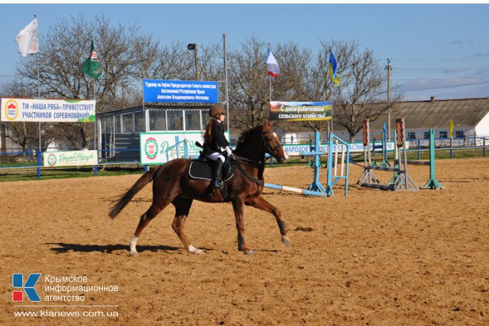 В Крыму устроят конные скачки на кубок премьера АРК