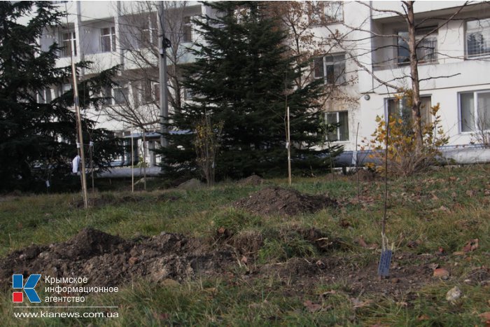 В перинатальном центре высадили детскую аллею 