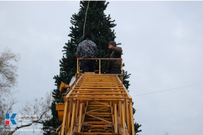 В Симферополе устанавливают еще одну елку