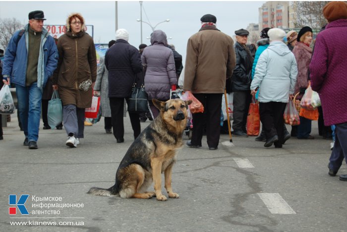 В Симферополе прошла предновогодняя ярмарка