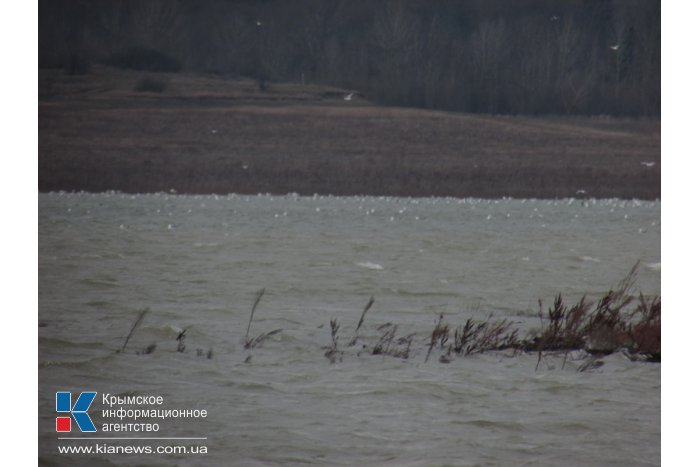 Водохранилища Симферополя начали пополняться