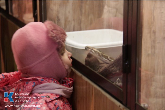 Киевский цирк привез в Симферополь динозавров и льва Папы Римского