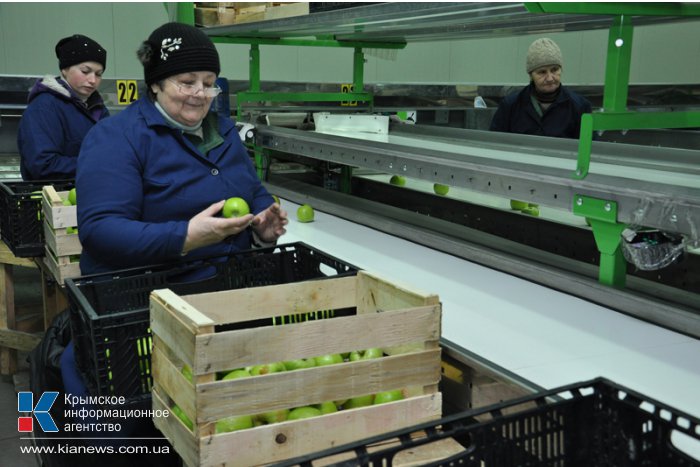 Продукция крымских товаропроизводителей конкурентоспособна и востребована, – Могилев