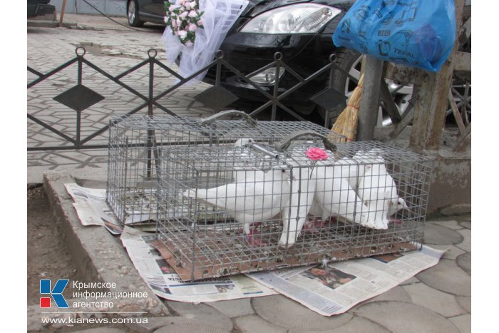 В Симферополе полным ходом идут свадьбы