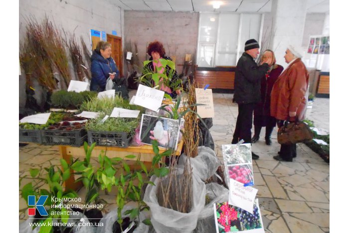 В Алуште открылась выставка «Зеленый мир»