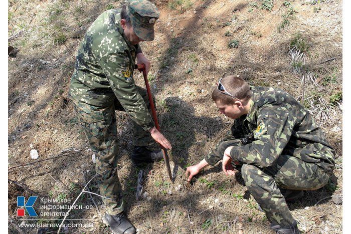 На горельнике Ялтинского заповедника высадили около 300 саженцев