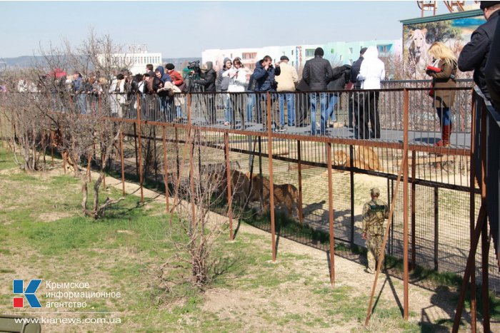В сафари-парке «Тайган» отпраздновали воссоединение Крыма с Россией