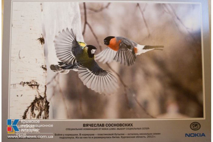 В Севастополе открылась выставка «National Geographic»