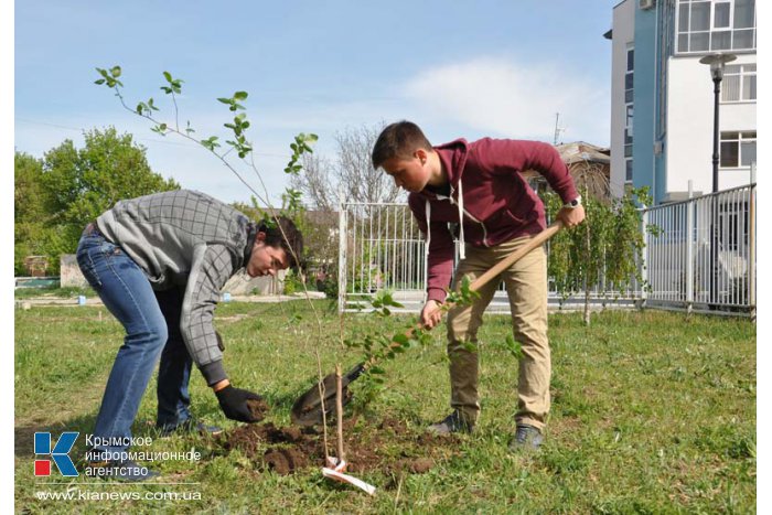 У библиотеки Франко в Симферополе высадили молодые деревья