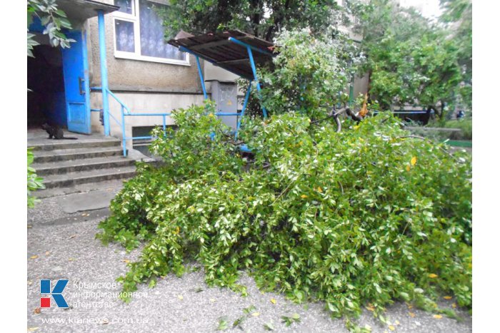 Штормовой ветер в Алуште повалил деревья и снес крыши домов 