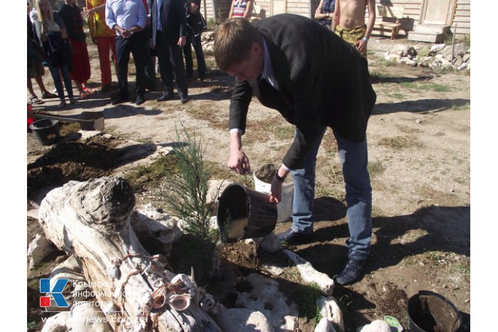В Крыму стартовал экологический фестиваль «Море леса»