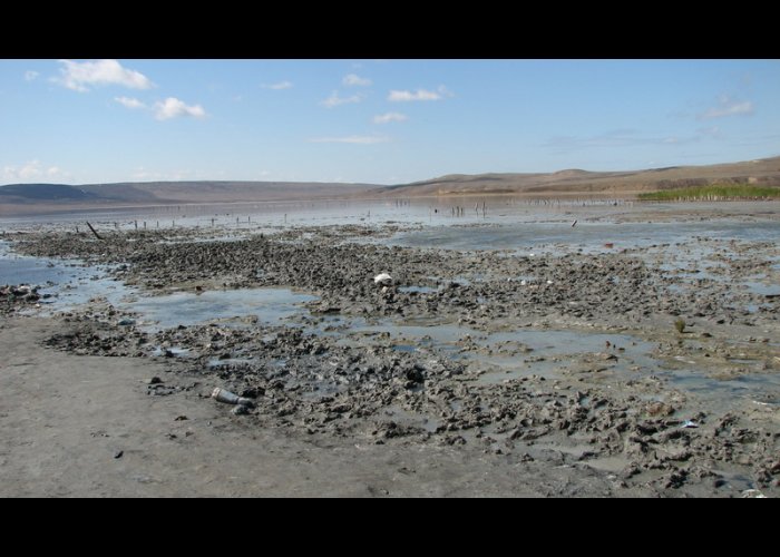 В Крыму почистили берег Азовского моря