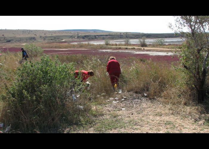 В Крыму почистили берег Азовского моря