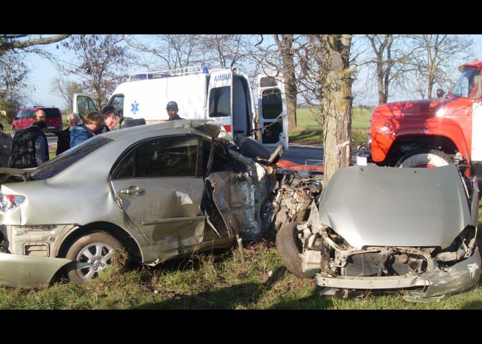 В востоке Крыма автомобиль врезался в дерево 