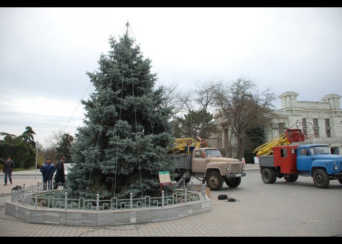 В Евпатории украшают городскую елку