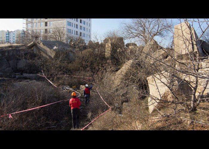 В Севастополе провели аттестацию собак-спасателей