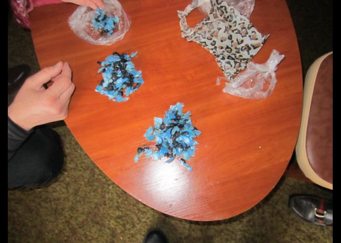 У жителя Евпатории изъяли опиума на 30 тыс. грн.