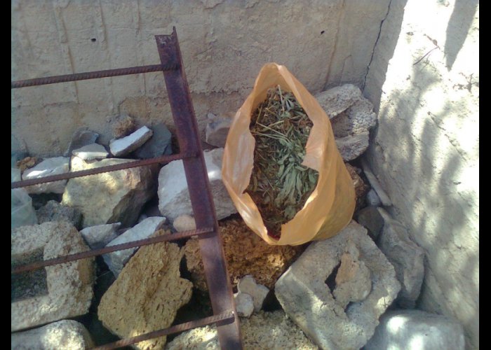 В Симферопольском районе местный житель вырастил 36 кустов конопли
