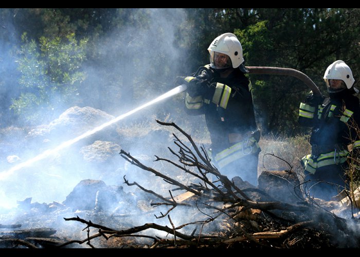 В Севастополе прошли учения по тушению лесного пожара