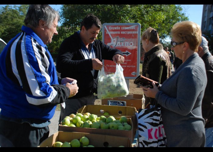 В Евпатории проводятся дни продажи яблок