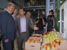В Симферопольском районе открыли фруктохранилище В Симферопольском районе открыли фруктохранилище