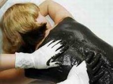 Вице-спикер Крыма предлагает контролировать добычу лечебной грязи