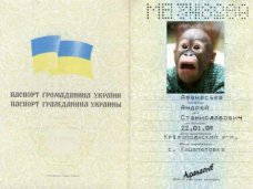 Четверо мужчин пытались улететь из аэропорта Симферополя по поддельным паспортам Четверо мужчин пытались улететь из аэропорта Симферополя по поддельным паспортам
