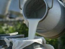 В Крыму обсудили проблемы закупки молока у селян