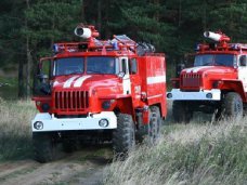 В Алуште прошли учения по защите леса от пожара Пожароопасность, В Алуште прошли учения по защите леса от пожара