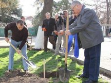 В Симферополе начался конкурс «Правила чистоты» Благоустройство, В Симферополе начался конкурс «Правила чистоты»