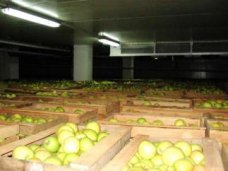 В Крыму будут строить хранилища фруктов и овощей В Крыму будут строить хранилища фруктов и овощей